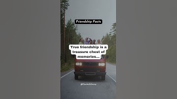 Timeless Treasures: Unveiling the Precious Memories in True Friendship | Friendship Facts Revealed!