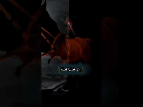 ياناس الهيبه من الله