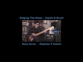 Singing the blues bass cover by stephen p galvin
