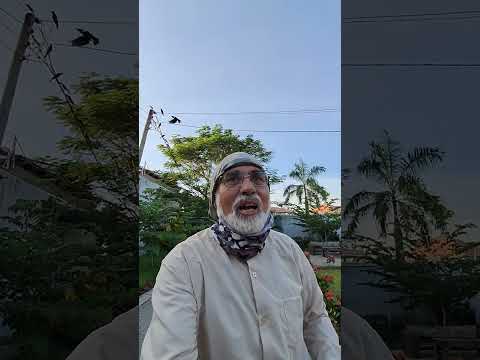 رستوران ایرانی در دارالسلام تانزانیا بنام ترنج که مالکش خیلی کشیده رنج اینجا را تبدیل کرده به گنج