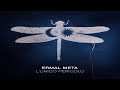Capture de la vidéo Ermal Meta - L'unico Pericolo #Ermalmeta #Room9