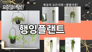 가장 많이 팔린 행잉플랜트 추천 Top10!
