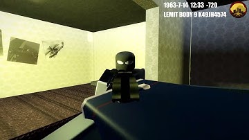 Lemitsia Engage With Assassin After Public Shooting |* DECLASSIFIED *|