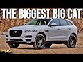 Jaguar F-Pace Review - Better than a Land Rover? - BEARDS n CARS