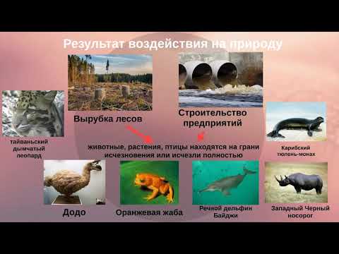 5 класс. Человек и мир. Влияние человека на природу Земли