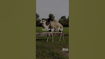 ﴿ الَّذِينَ صَبَرُوا وَعَلَىٰ رَبِّهِمْ يَتَوَكَّلُونَ﴾ #سورة_العنكبوت #عبدالرحمن_مسعد
