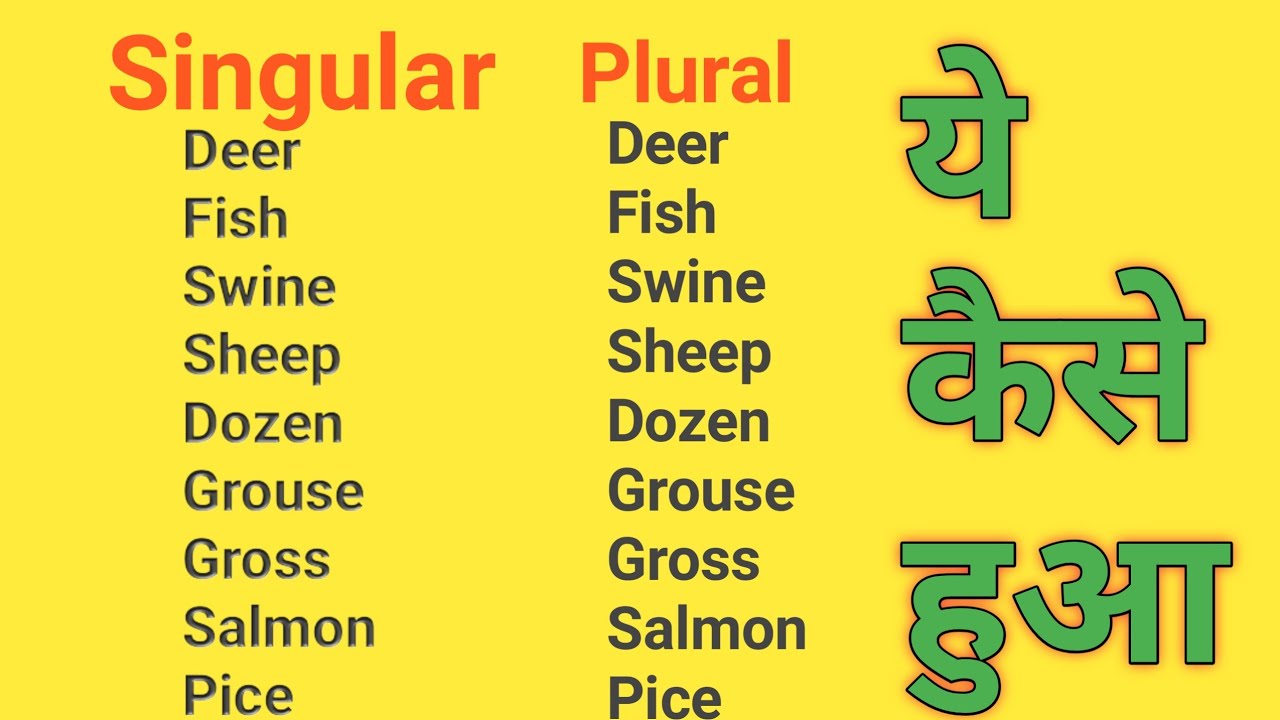 singular-and-plural-number-ekvachan-bahuvachan-in-hindi-kids-tat-tet-ctet