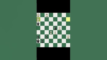 brilliant brilliant brilliant  #chess #brilliantmove #chessgame #brilliant #puzzle #chesspuzzles