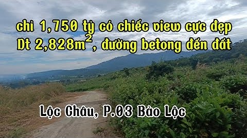 ‼️vườn chè 2.828m² có view cực đẹp, mát mẽ‼️Hẻm betong Đ. Đinh Công Tráng, P.03 Bảo Lộc‼️1,750 tỷ‼️