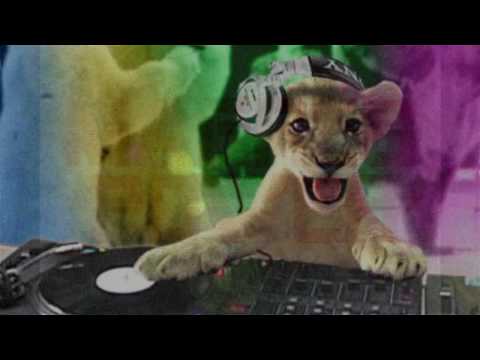 We play Dance music 80's ! (electro remix)