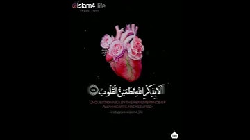 ألا بذكر الله تطمئن القلوب♥️ سوره الرعد آيه {٢٨}