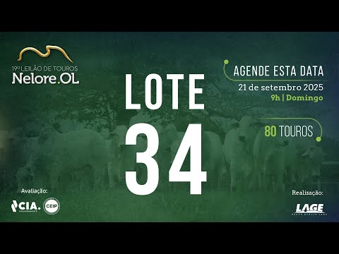 LOTE 34 V90860 - 19º Leilão de Touros Nelore OL