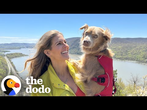 Rescue Dog And Her Mom Love Hiking Together | The Dodo