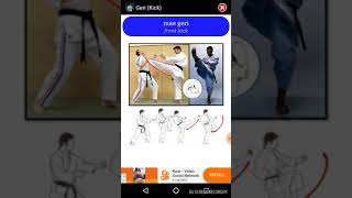 Learn karate with one app at home screenshot 2