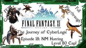 A Guide to FFXI - The Journey of CyberLogic - Episode 18 - NM Hunting - Level 80 Cap