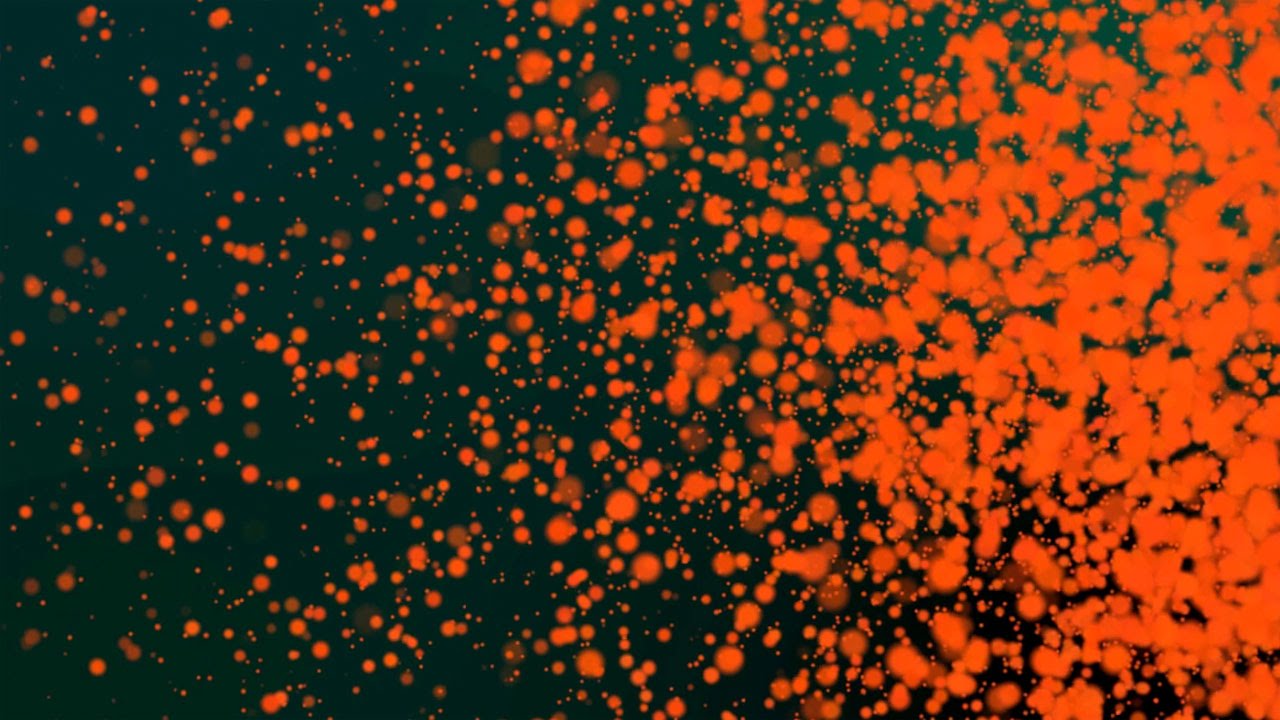 Free Orange Particle Background Loop HD YouTube