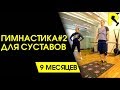 Гимнастика для суставов #2. Реабилитация после пластики ПКС.  18+