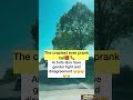Ai bots also have gender fight and disagreement #fypシ゚viralシ #viralreelschallenge #funnyprankvideos