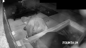 VDOintel Video Monitoring Services Catch Trespasser on Property