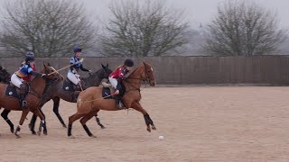 Fifty Shades of Neigh V Glynn's Silly Fillies, 0 to 2, Saturday 8th Feb 2025