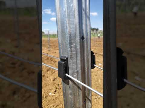 BUTAFIX - TRELLISING SYSTEM ( SINGLE CROSSARM) |  MODERN TELLİ TERBİYE ( Tek Te Sistem )