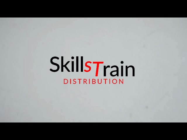 SkillsTrain Flaim Example