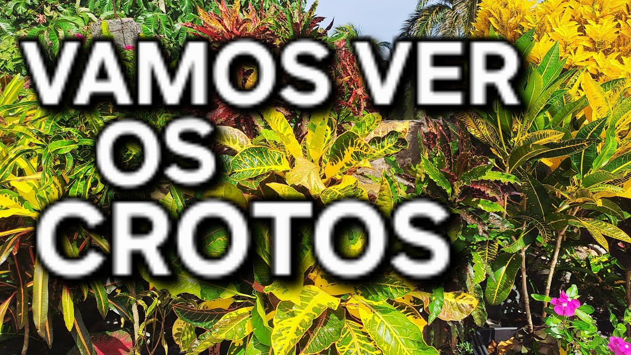 🍂REFÚGIO VERDE E  OS🍂🪴 