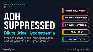 Hyponatremia E5 —ADH Suppressed: Water Intoxication, Beer Potomania, Tea & Toast, Primary Polydipsia