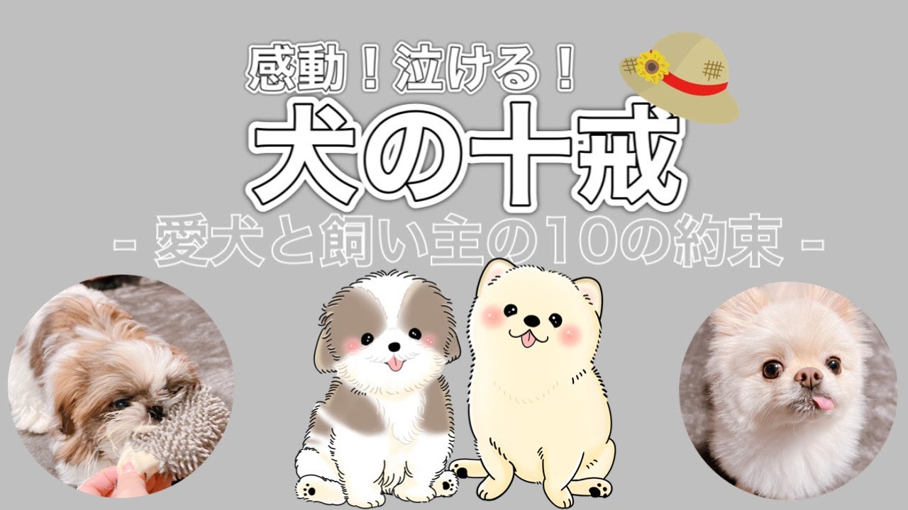 犬の十戒 感動します 犬を飼う前に覚えていて欲しいこと 犬と私の10の約束 Youtube
