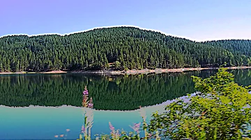 Quali sono i laghi della Sila?
