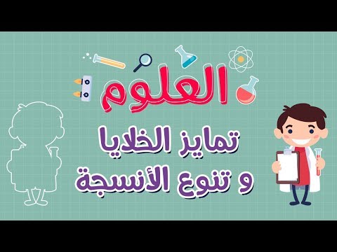 فيديو: ما هو مثال على تمايز الخلايا؟