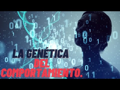 Video: ¿El comportamiento es genético?