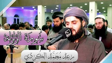 سورة الزلزلة❤ | تلاوة  هائة و جمیلة 💚| رعد محمد الکردي