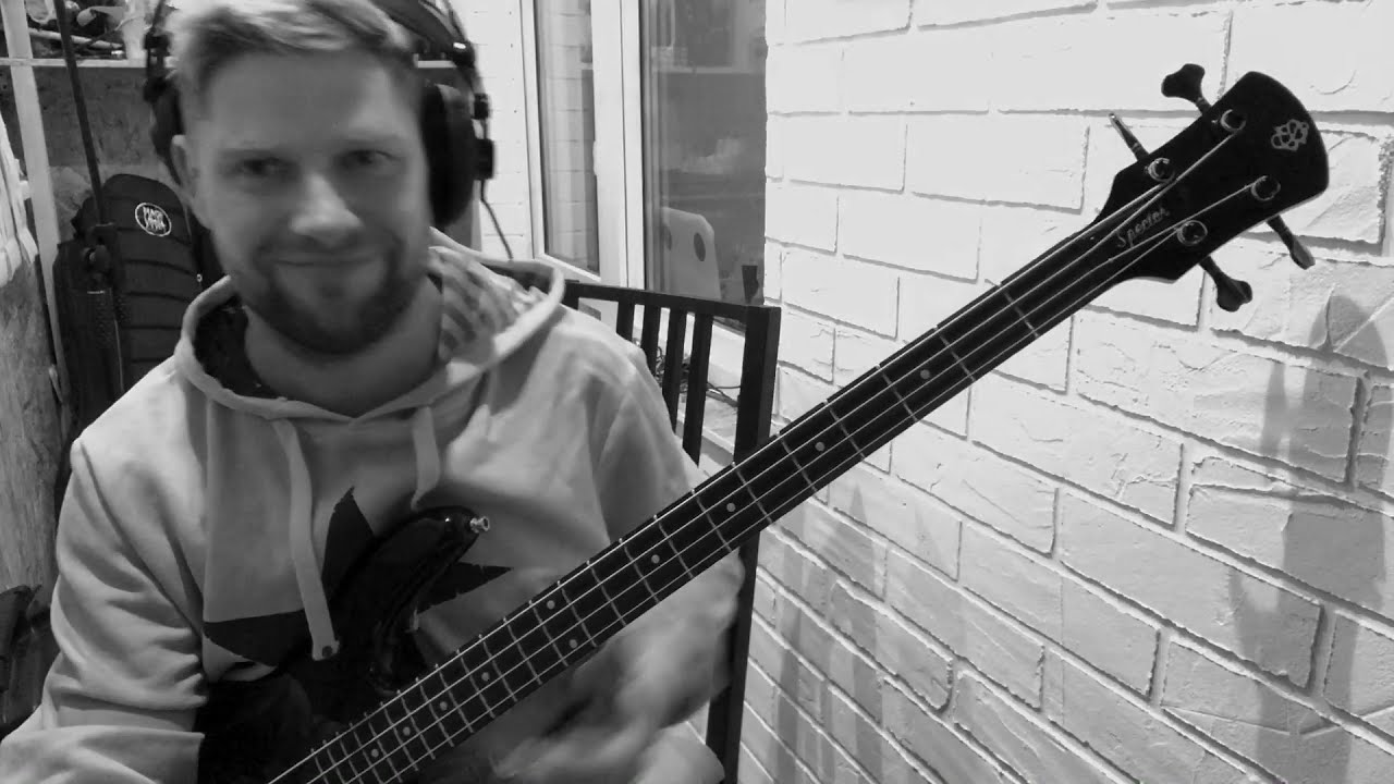 BLACK VOLGA Мышь (bass playthrough)