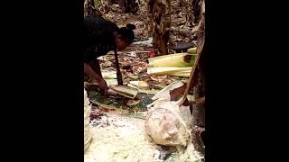 Warqe Or Enset Decorticating Machine