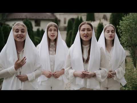 Як ласкаво дивиться Марія