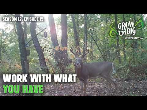 Identifying How to Improve Your Property for Whitetails