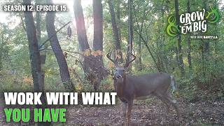 Identifying How to Improve Your Property for Whitetails