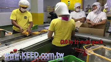 KEED TW - MP-2 Q-SERVO Auto Feeding Macgazine & Stacker