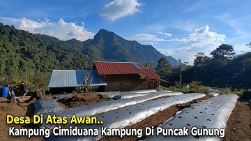 Lagi Viral di Ciamis.. Surga Tersembunyi di Pedesaan Terpencil Pinggir Hutan. Kampung Cimiduana