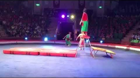 Trải nghiệm thú vị tại rạp Xiếc Trung Ương