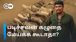 "கழுதை மேய்க்கிறது கேவலம்னு யாரு சொன்னா?"- தமிழகத்தின் முதல் கழுதை பண்ணை | Donkey Palace | DW Tamil