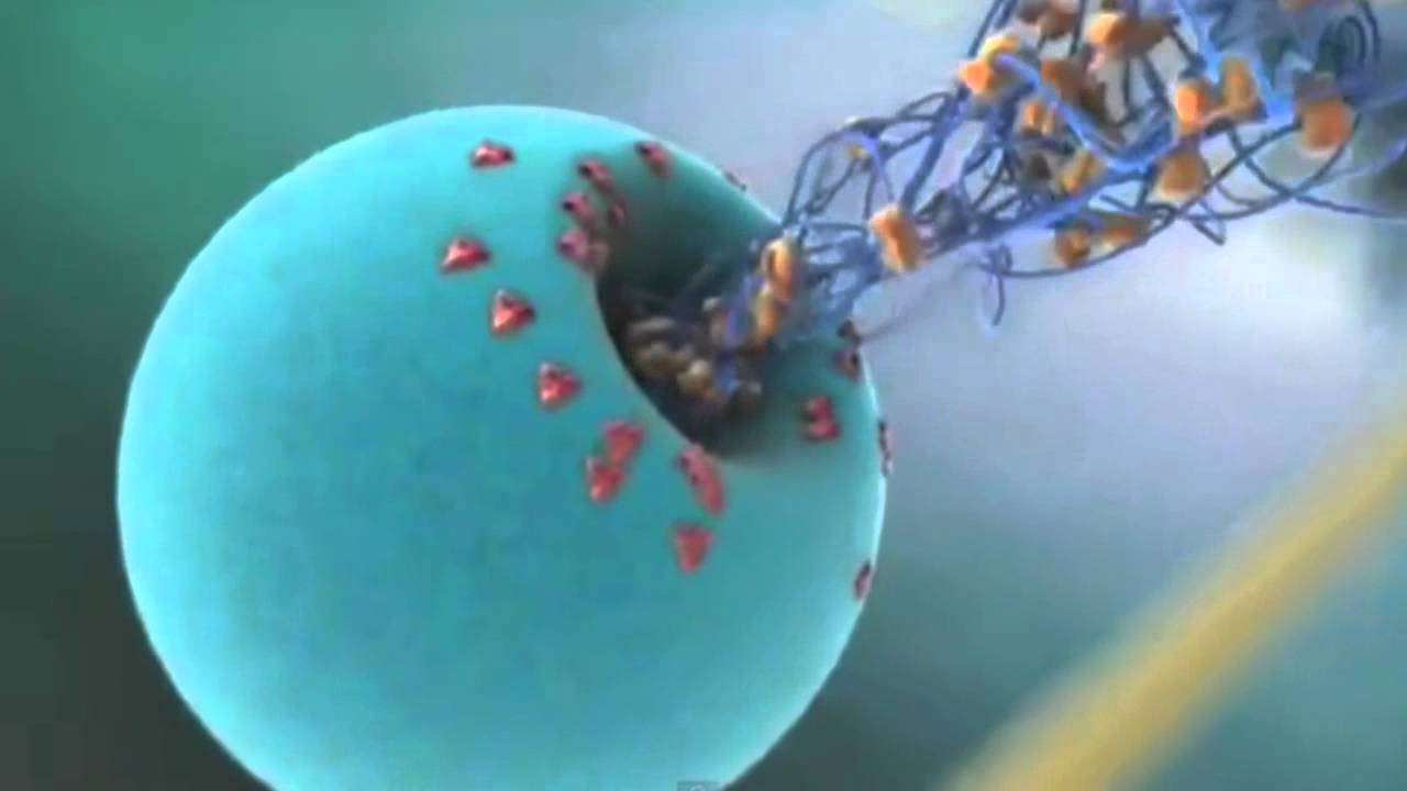 Science in Action: Deadly Dengue Virus | California Academy of Sciences