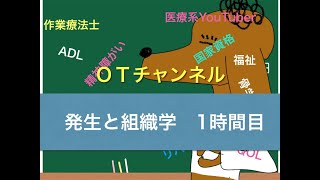 発生と組織学（内胚葉）　1時間目「作業療法士（OT）の為の国家試験対策」