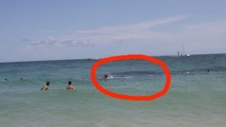 sea scary mysterious creature