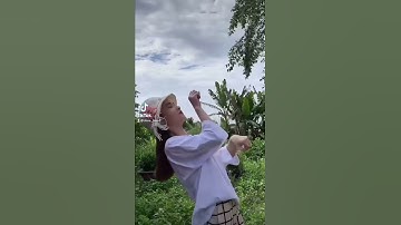 Kangaroo dễ thương quá