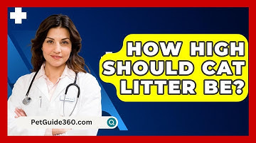 How High Should Cat Litter Be? - PetGuide360.com