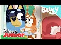 Bluey: La pluma mágica | Disney Junior Oficial