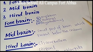 Class 8, Subject Science, Central Nervous System. Allied School