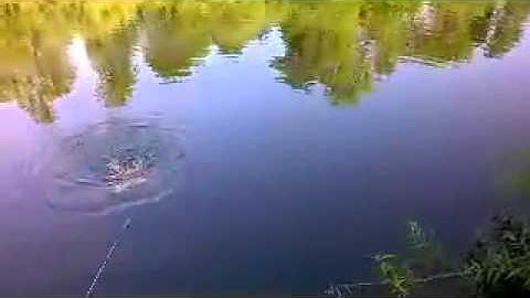 Sea Perch (underwater robot) testing video